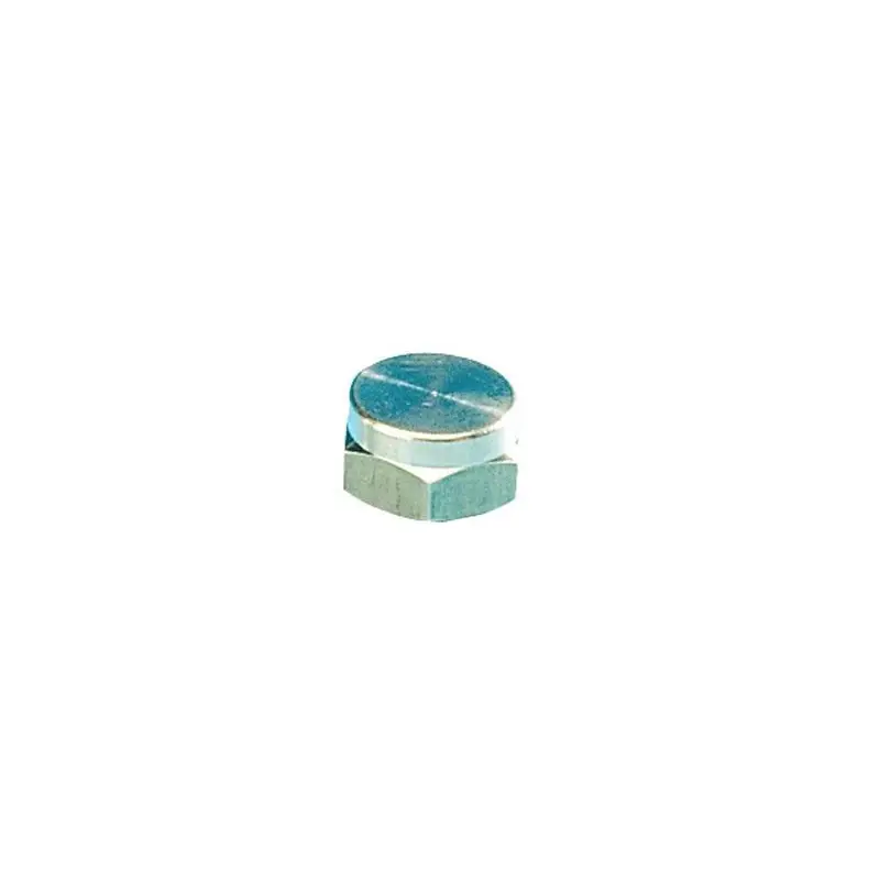 FAVEX Bouchon gaz fileté femelle 20 x 1,5 Réduction