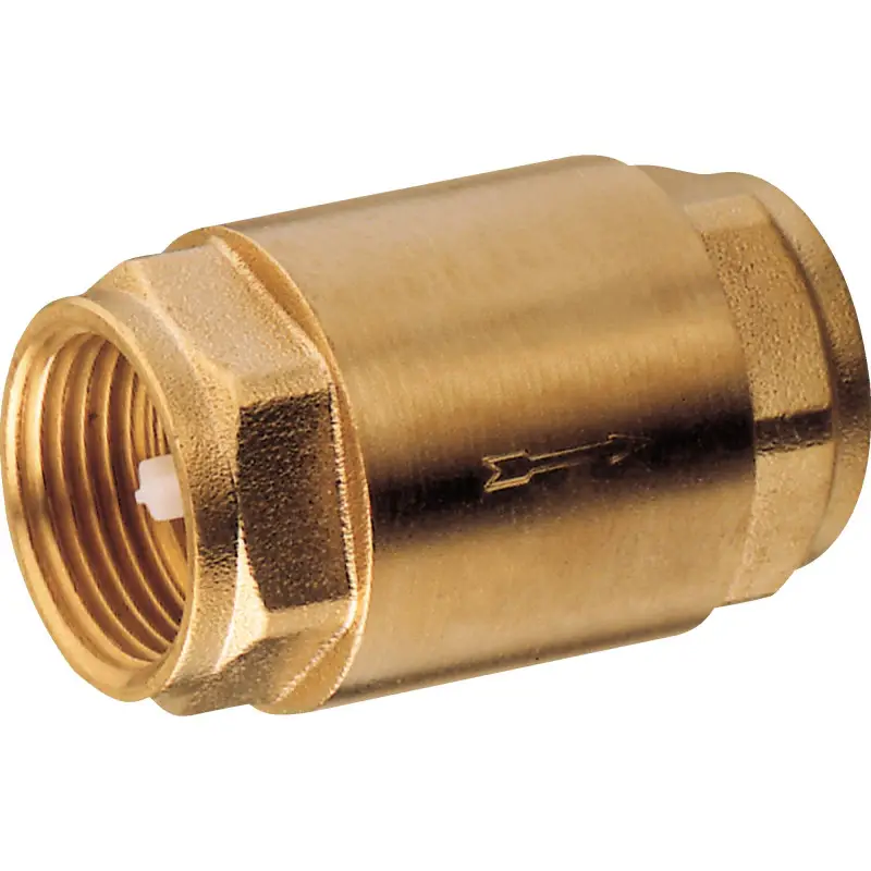 Clapet anti retour laiton GUIDI Prix Choc