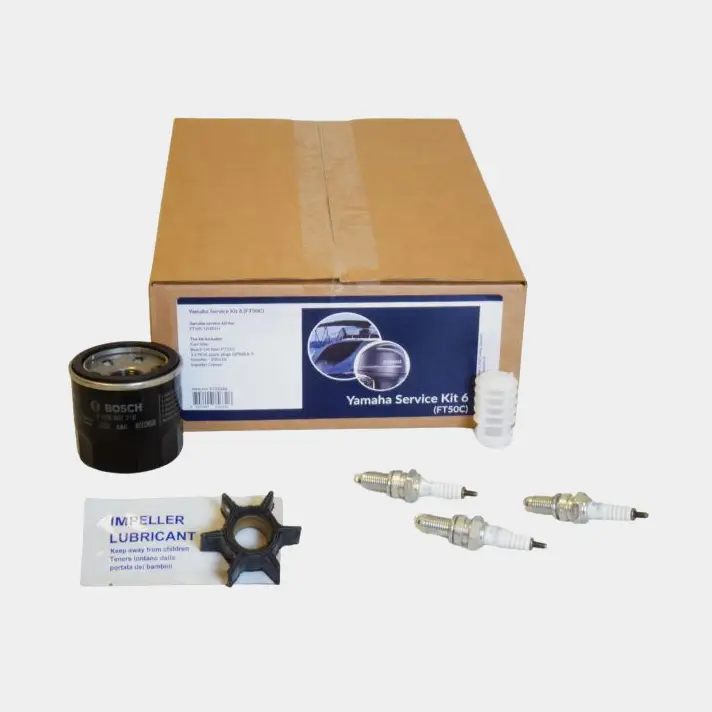 Expédition Rapide Kit de révision 500316 / DPR6EA-9 / P7210 pour Mercury FT50C