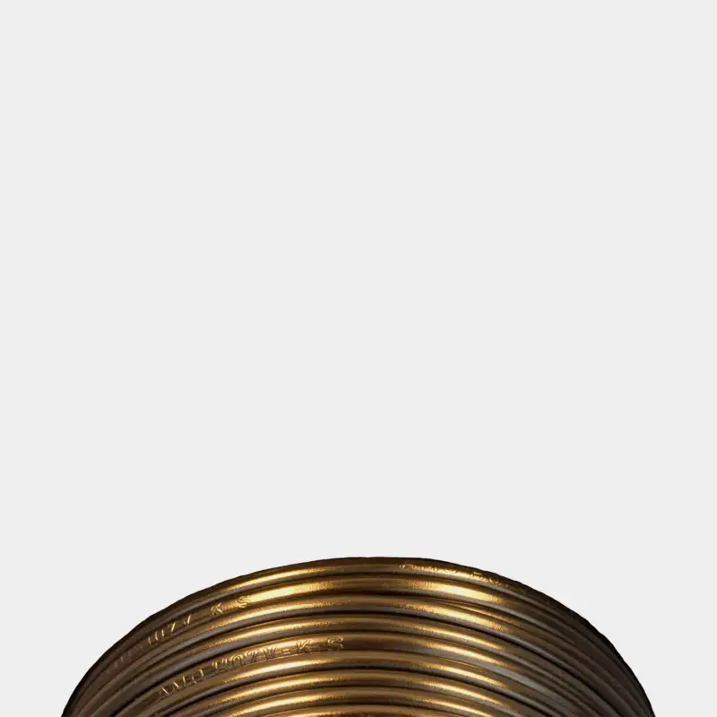 Câble en cuivre étamé Skyllermarks RK, rond, 1 conducteur, 10 mm², 25 meter, noir Prix Réduit