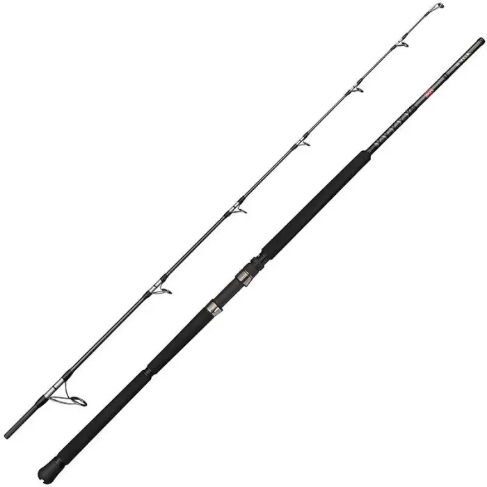 Canne spinning Penn Ally II offshore Casting Rod Livraison Express