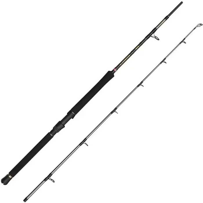 Pas Cher Canne Penn Regiment IV Boat Rod