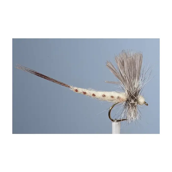 Haute Qualité Mouche Sèche Ephémère JMC Mai 11 H10